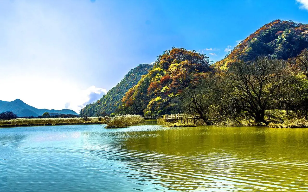 高效节能高效